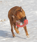 Rocket in Snow -- January 2011